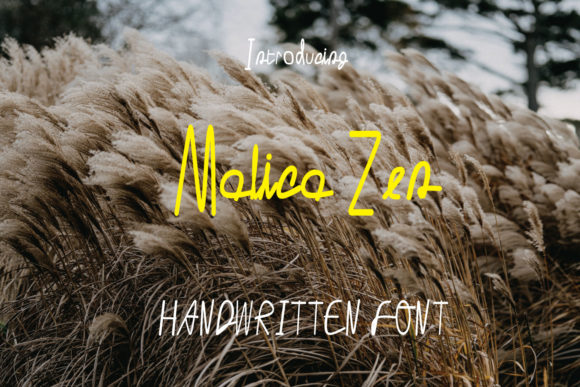 Malica Zen: A Handwritten Font That Elevates Digital Marketing Design